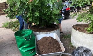 Pflanzkübel Aktion Fischers Allee