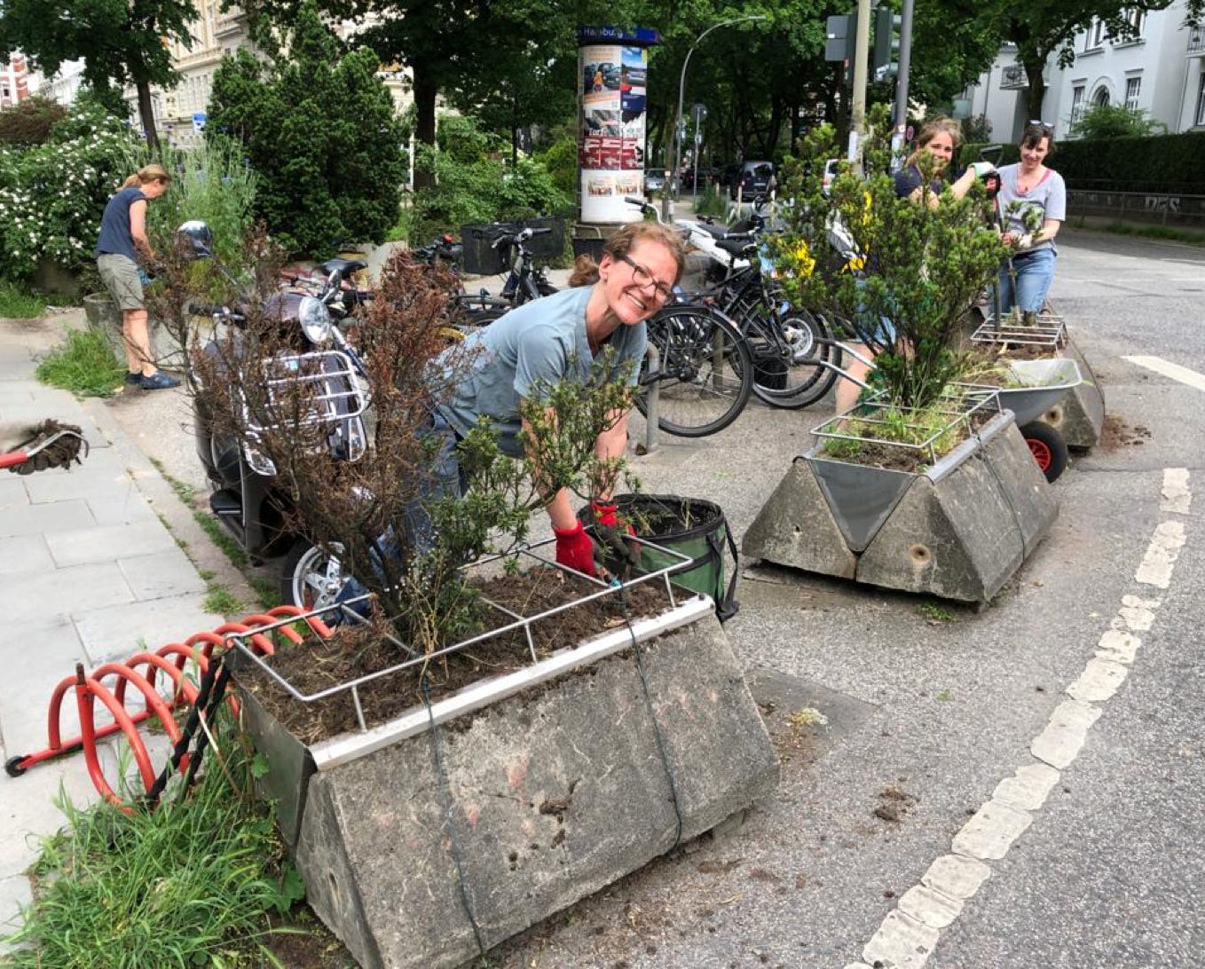 Mitmachen beim Greencity Verein in Hamburg. Mehr blühende  Grünflächen in der Stadt Hamburg