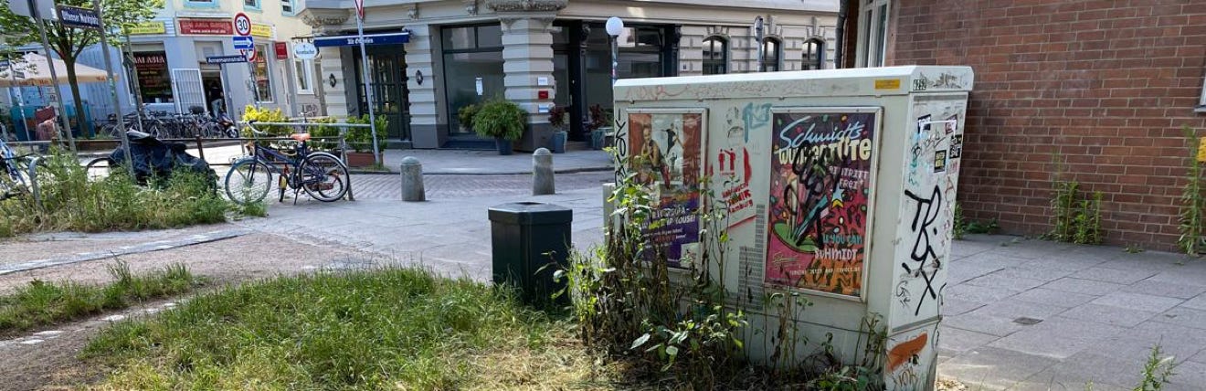 Hamburg Greencity Blühfläche Fischers Allee Ottensen