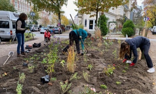 Grünfläche Fischers Allee