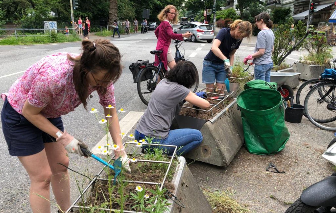 Blühende Flächen Hamburg  Altona Greencity Verein für mehr Stadtgrün in Hamburg