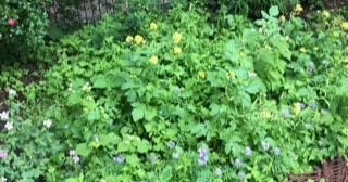 Strassenbeet Motte Spielplatz