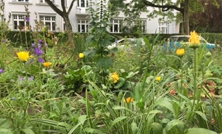 Grünfläche Fischers Allee